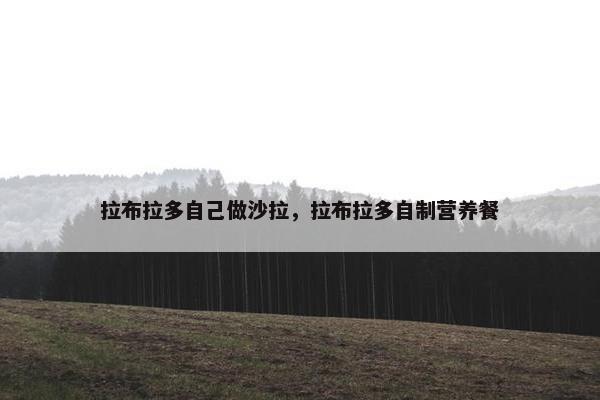 拉布拉多自己做沙拉，拉布拉多自制营养餐