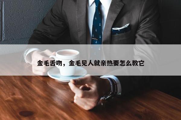 金毛舌吻，金毛见人就亲热要怎么教它