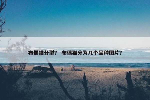 布偶猫分型？ 布偶猫分为几个品种图片？