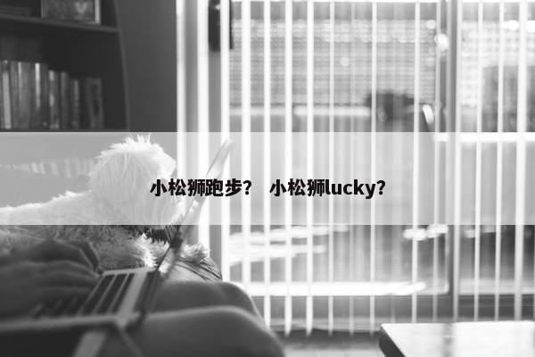 小松狮跑步？ 小松狮lucky？