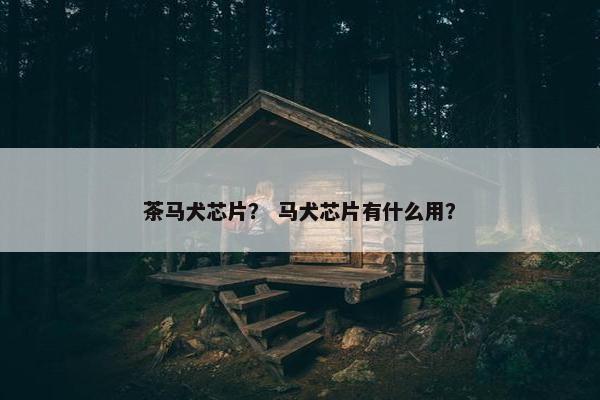 茶马犬芯片？ 马犬芯片有什么用？