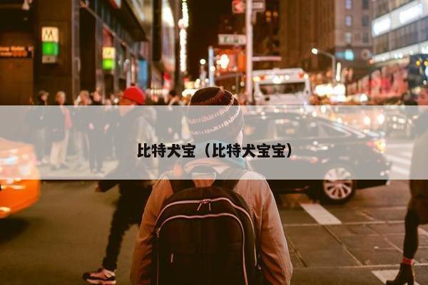 比特犬宝（比特犬宝宝）