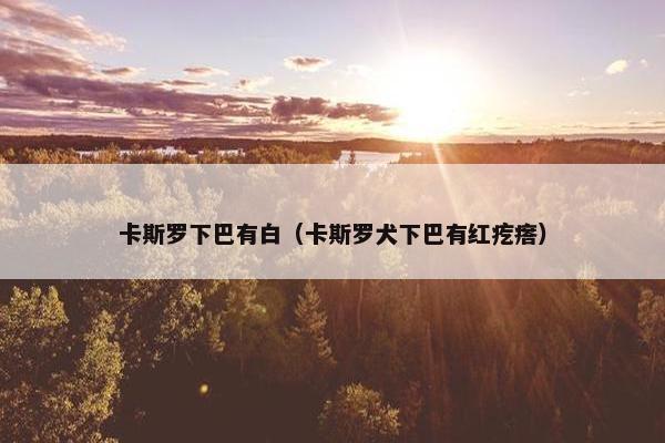 卡斯罗下巴有白（卡斯罗犬下巴有红疙瘩）