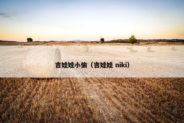 吉娃娃小偷（吉娃娃 niki）