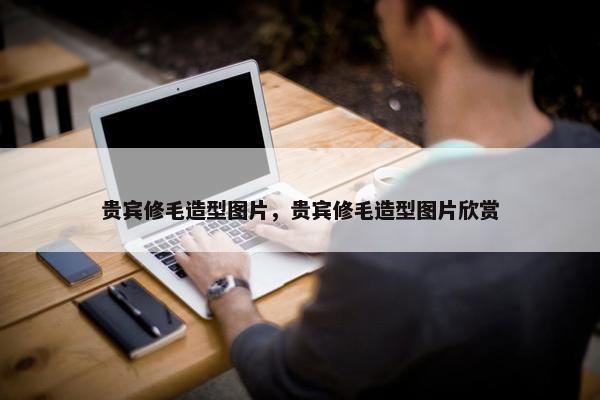 贵宾修毛造型图片，贵宾修毛造型图片欣赏