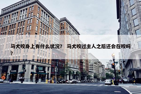 马犬咬身上有什么状况？ 马犬咬过主人之后还会在咬吗？