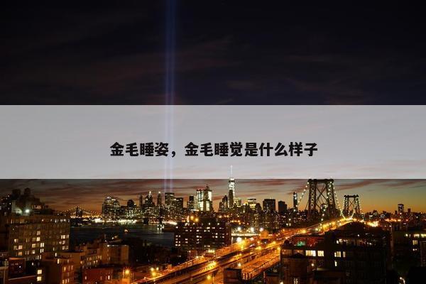 金毛睡姿，金毛睡觉是什么样子