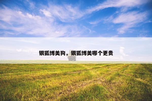 银狐博美狗，银狐博美哪个更贵