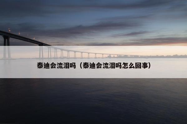 泰迪会流泪吗（泰迪会流泪吗怎么回事）