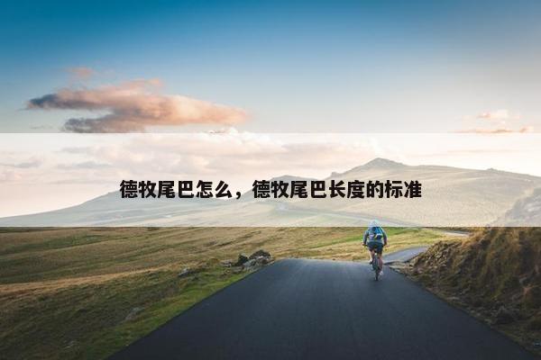 德牧尾巴怎么，德牧尾巴长度的标准