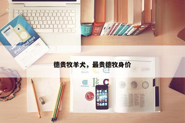 德贵牧羊犬，最贵德牧身价