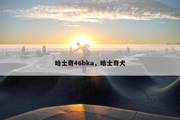 哈士奇46bka，哈士奇犬