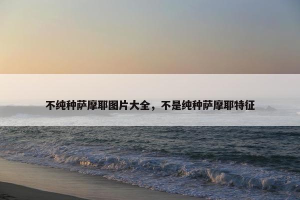 不纯种萨摩耶图片大全，不是纯种萨摩耶特征