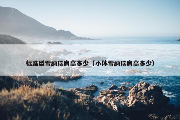 标准型雪纳瑞肩高多少（小体雪纳瑞肩高多少）