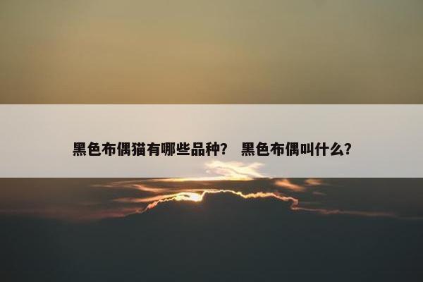 黑色布偶猫有哪些品种？ 黑色布偶叫什么？
