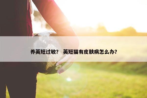 养英短过敏？ 英短猫有皮肤病怎么办？