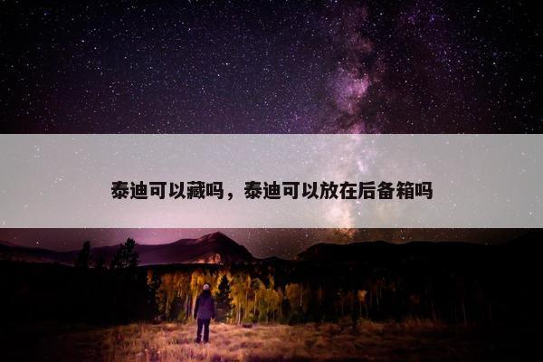 泰迪可以藏吗，泰迪可以放在后备箱吗