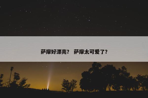 萨摩好漂亮？ 萨摩太可爱了？