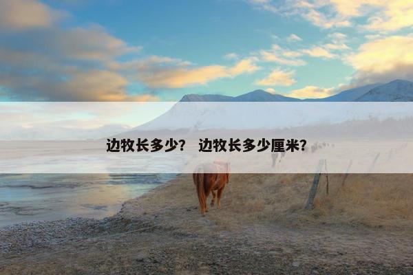 边牧长多少？ 边牧长多少厘米？
