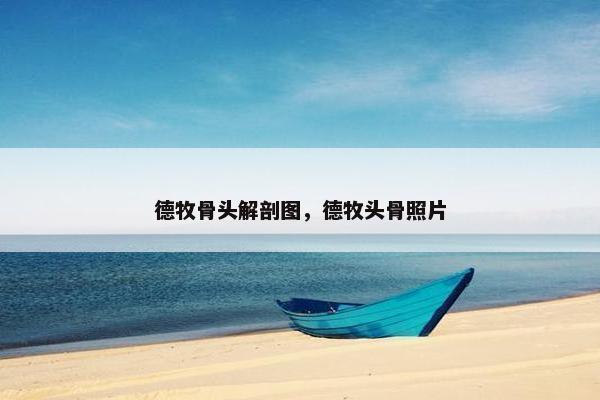 德牧骨头解剖图，德牧头骨照片