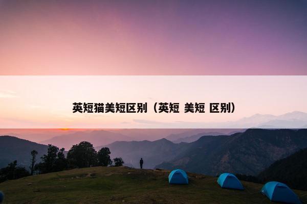 英短猫美短区别（英短 美短 区别）