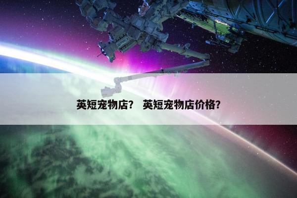 英短宠物店？ 英短宠物店价格？