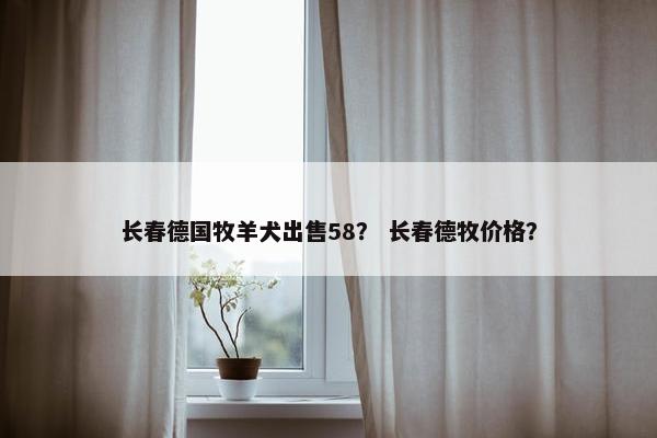 长春德国牧羊犬出售58？ 长春德牧价格？