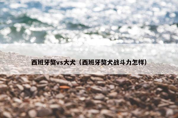 西班牙獒vs大犬（西班牙獒犬战斗力怎样）