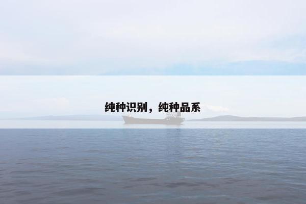 纯种识别，纯种品系