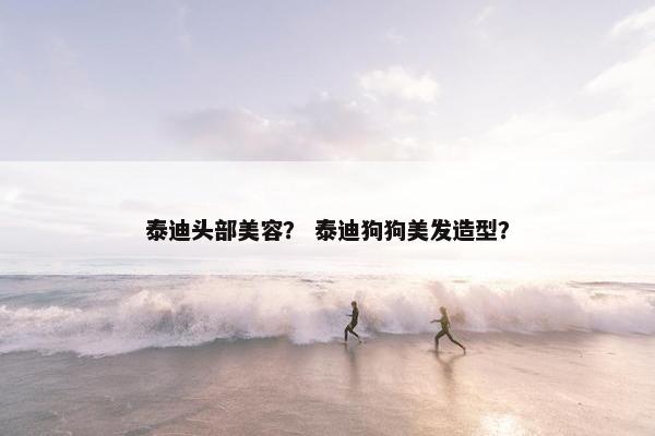 泰迪头部美容？ 泰迪狗狗美发造型？