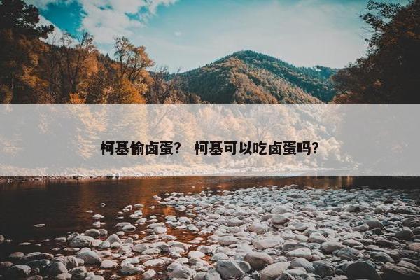 柯基偷卤蛋？ 柯基可以吃卤蛋吗？