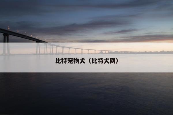 比特宠物犬（比特犬网）