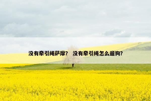 没有牵引绳萨摩？ 没有牵引绳怎么遛狗？
