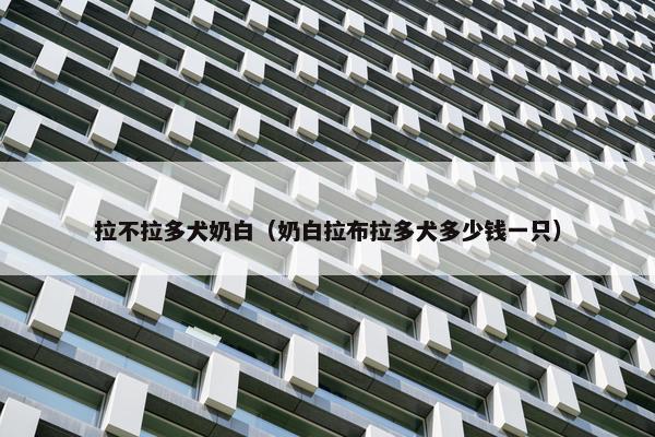 拉不拉多犬奶白（奶白拉布拉多犬多少钱一只）