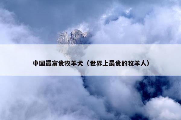 中国最富贵牧羊犬（世界上最贵的牧羊人）