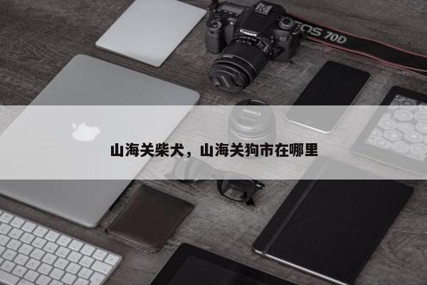 山海关柴犬，山海关狗市在哪里