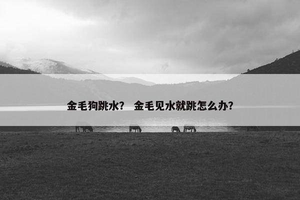 金毛狗跳水？ 金毛见水就跳怎么办？