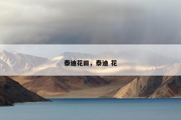 泰迪花田，泰迪 花