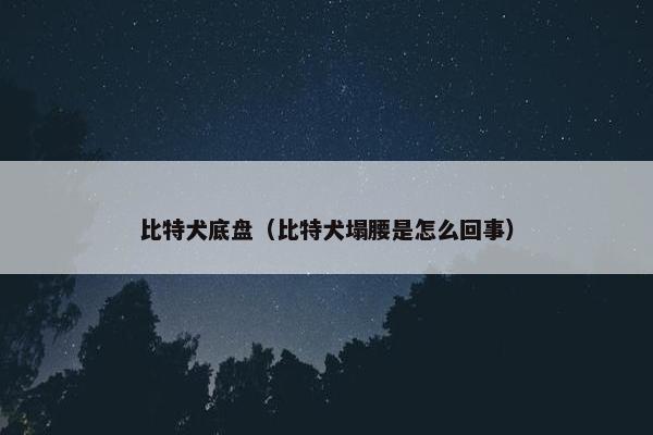 比特犬底盘（比特犬塌腰是怎么回事）