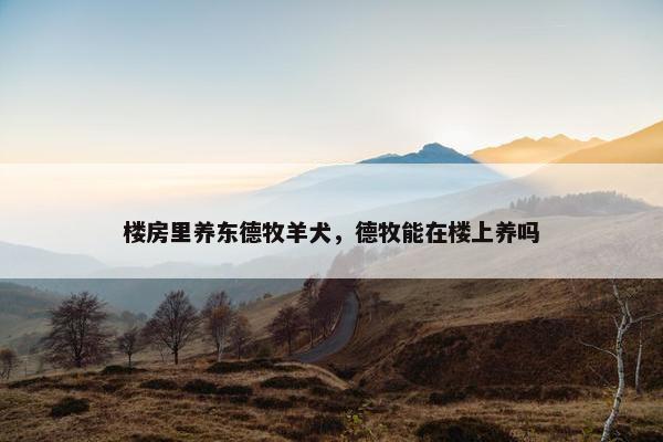 楼房里养东德牧羊犬，德牧能在楼上养吗