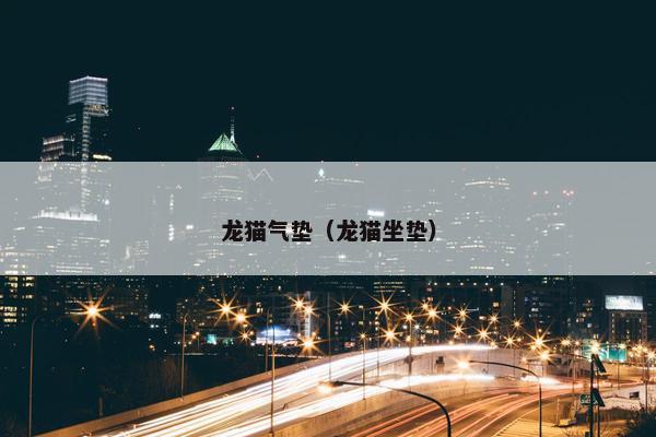 龙猫气垫（龙猫坐垫）