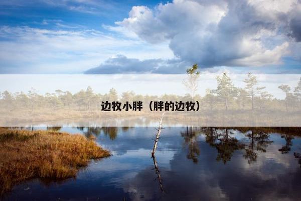 边牧小胖（胖的边牧）