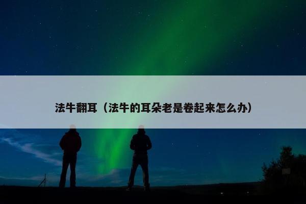 法牛翻耳（法牛的耳朵老是卷起来怎么办）