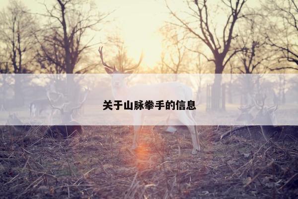 关于山脉拳手的信息