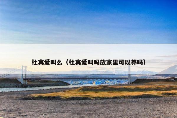 杜宾爱叫么（杜宾爱叫吗放家里可以养吗）