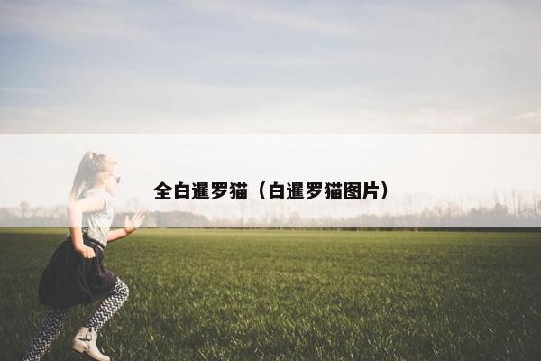 全白暹罗猫（白暹罗猫图片）