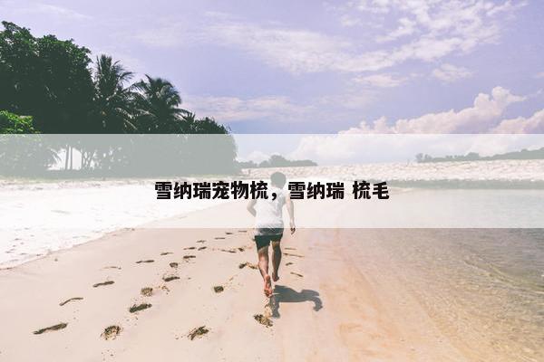 雪纳瑞宠物梳，雪纳瑞 梳毛