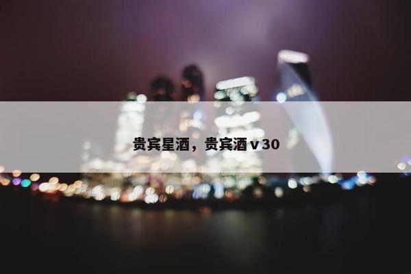 贵宾星酒，贵宾酒ⅴ30