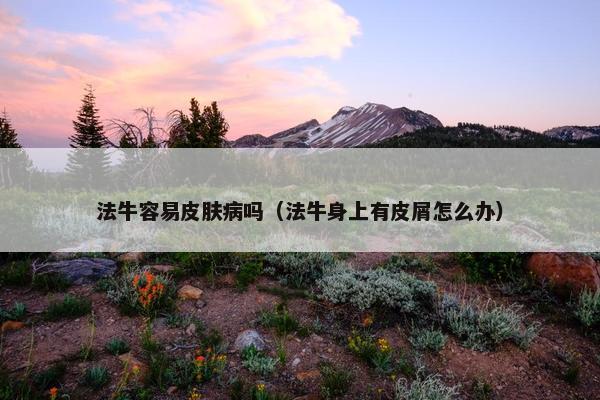 法牛容易皮肤病吗（法牛身上有皮屑怎么办）