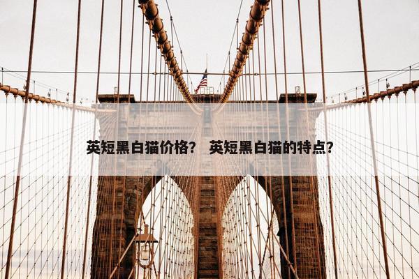 英短黑白猫价格？ 英短黑白猫的特点？